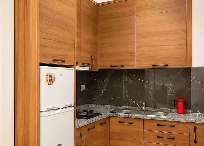 Апартаменты Blaka *